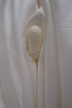 Foto de Gusano de seda cocoon bombyx mori. Capullos de morera blanca. Capullos de seda en productos de belleza - Imagen libre de derechos
