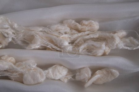 Photo for Silk manufacturing. Production silk industry. Silk cocoons degummed. Natural organic silk textile. - Royalty Free Image