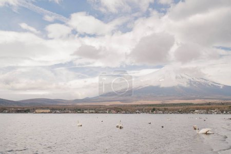 Téléchargez les photos : Mt. fuji le matin au lac yamanaka avec cygne, Yamanakako, Japon. - en image libre de droit