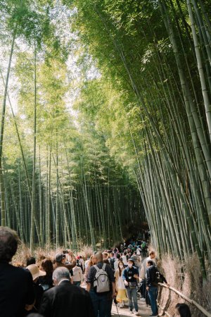 Téléchargez les photos : KYOTO, JAPON - 3 AVRIL 2023 : Foule sous la rainure du bambou à Arashiyama, Kyoto, Japon - en image libre de droit