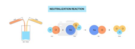 Illustration for Reaction neutralization concept, poster with the chemical formula. Acid and base react to water and salt. Laboratory reagent. Chemical equations isolated flat vector illustration for education - Royalty Free Image
