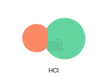 Illustration for Hydrochloric acid chemical formula. Muriatic acid or spirits of salt. HCL molecular compound. Component of the gastric liquid. Laboratory reagent and industrial chemical flat vector illustration. - Royalty Free Image