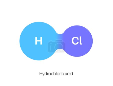 Illustration for Hydrochloric acid chemical formula. Muriatic acid or spirits of salt. HCL molecular compound. Component of the gastric liquid. Laboratory reagent and industrial chemical flat vector illustration. - Royalty Free Image