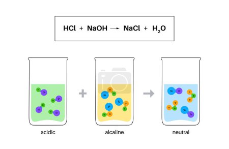 Reaction neutralization concept, poster with the chemical formula. Acid and base react to water and salt. Laboratory reagent. Chemical equations isolated flat vector illustration for education