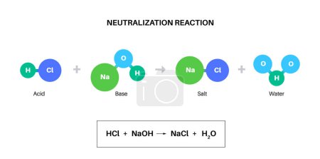Illustration for Reaction neutralization concept, poster with the chemical formula. Acid and base react to water and salt. Laboratory reagent. Chemical equations isolated flat vector illustration for education - Royalty Free Image