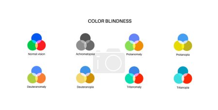 Illustration for Color blindness infographic. Vision deficiency concept. Difference between colors. Deuteranomaly deuteranopia and protanomaly. Protanopia, tritanopia and tritanomaly. Achromatopsia vector illustration - Royalty Free Image