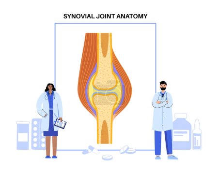 Illustration for Synovial joint anatomy. Movements between the adjacent bones. Orthopedic doctor. Articular capsule, joint cavity filled with synovial fluid. Ligaments, cartilage in the human body vector illustration - Royalty Free Image
