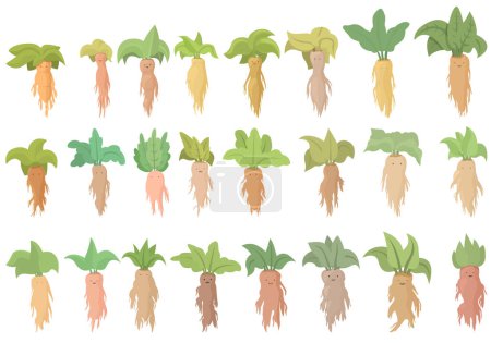 Los iconos de Mandrake establecen un vector de dibujos animados. Alquimia antigua. Zanahoria botánica