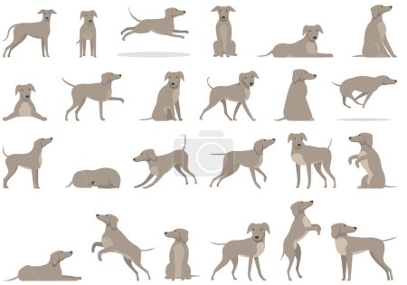 Ilustración de Iconos de galgos establecen vector de dibujos animados. Raza animal. Perros perros - Imagen libre de derechos