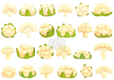 Téléchargez les illustrations : Icônes chou-fleur définir vecteur de dessin animé. Pièce de chou. Salade alimentaire - en licence libre de droit