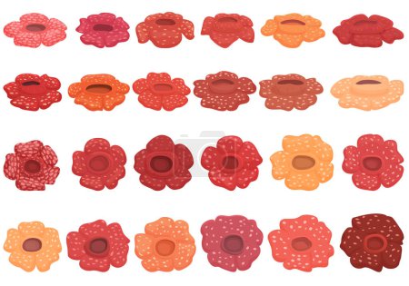 Ilustración de Los iconos de Rafflesia establecen un vector de dibujos animados. Florecen las flores. asiático belleza - Imagen libre de derechos