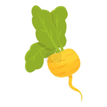 Illustration for Cooking root icon cartoon vector. Green radish. Food farm - Royalty Free Image