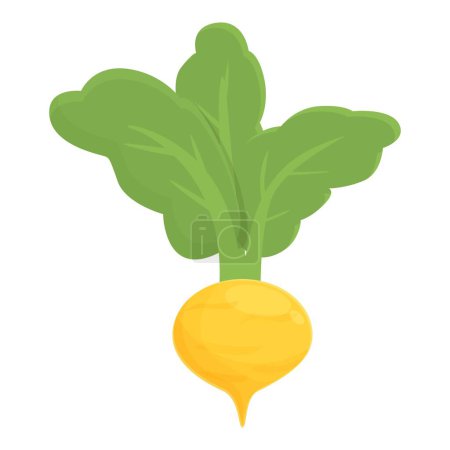 Illustration for Cooking root icon cartoon vector. Green turnip. Food farm - Royalty Free Image