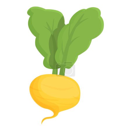 Illustration for Vegetarian root icon cartoon vector. Green turnip. Food farm - Royalty Free Image
