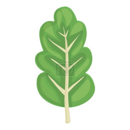 Ilustración de Icono de acelga verde vector de dibujos animados. Ensalada suiza. Planta alimenticia - Imagen libre de derechos