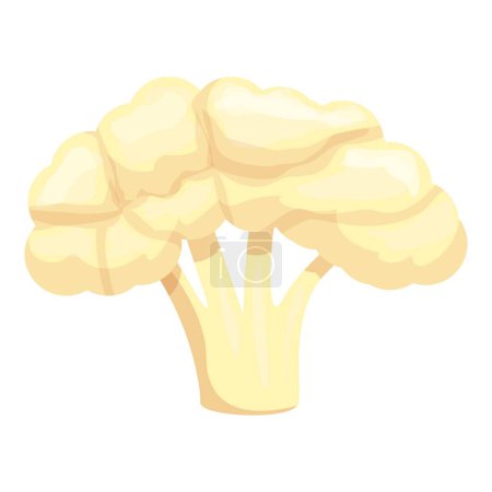 Téléchargez les illustrations : Chou-fleur icône dessin animé vecteur. Nourriture au chou. Légumes bio - en licence libre de droit