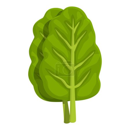 Ilustración de Fresco icono de acelga vector de dibujos animados. Planta verde. Alimento natural - Imagen libre de derechos