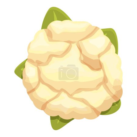 Téléchargez les illustrations : Chou chou-fleur icône dessin animé vecteur. De la nourriture végétale. Ferme biologique - en licence libre de droit