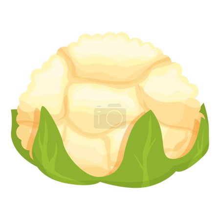 Téléchargez les illustrations : Nourriture chou-fleur icône dessin animé vecteur. Du chou aux légumes. Ferme biologique - en licence libre de droit