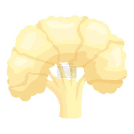 Téléchargez les illustrations : Santé chou-fleur icône dessin animé vecteur. Nourriture au chou. Légumes biologiques - en licence libre de droit