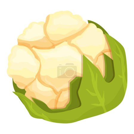 Téléchargez les illustrations : Chou-fleur naturel icône dessin animé vecteur. Nourriture au chou. Légumes bio - en licence libre de droit
