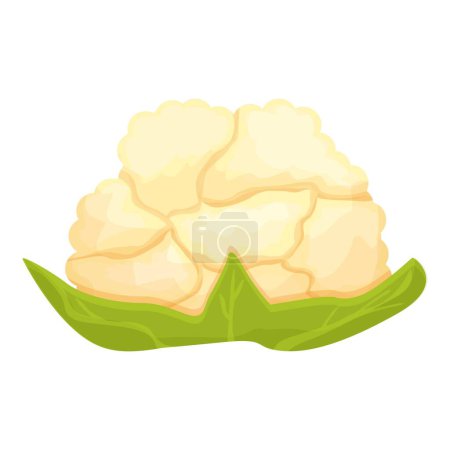 Téléchargez les illustrations : Cuisson chou-fleur icône dessin animé vecteur. Nourriture au chou. Ferme biologique - en licence libre de droit