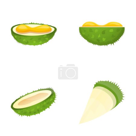 Téléchargez les illustrations : Durian icônes set vecteur de dessin animé. Fruits exotiques. Aliments crus, alimentation saine - en licence libre de droit