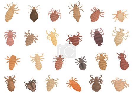 Lice icons set cartoon vector. Nature parasite. Insect head
