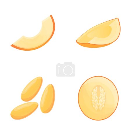 Illustration for Melon icons set cartoon vector. Fresh ripe melon. Vegetable, healthy nutrition - Royalty Free Image