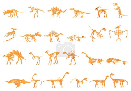 Illustration for Dinosaur skeleton icons set cartoon vector. Pedestal fossil ancient. Bone gallery museum - Royalty Free Image
