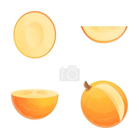 Illustration for Fresh melon icons set cartoon vector. Ripe melon. Vegetable, healthy nutrition - Royalty Free Image