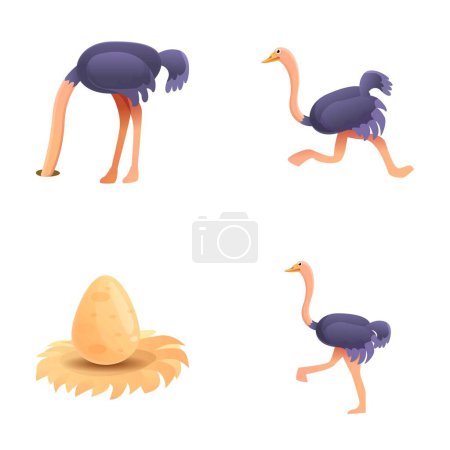 Téléchargez les illustrations : Icônes d'autruche africaine mis vecteur de dessin animé. Oiseau d'autruche et gros œuf. Faune, le plus grand oiseau - en licence libre de droit