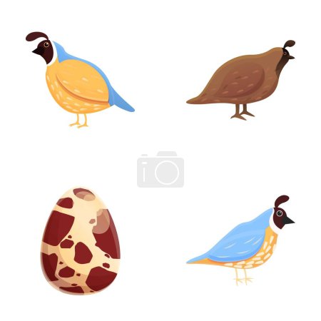 Illustration for Partridge bird icons set cartoon vector. Variegated wild bird. Ptarmigan, ornithology - Royalty Free Image