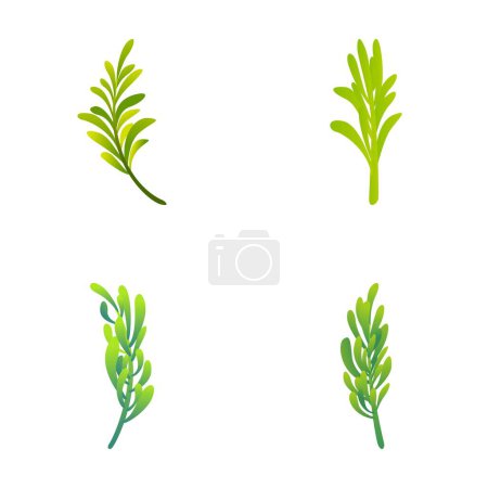 Ilustración de Iconos de plantas de romero conjunto vector de dibujos animados. Hoja verde y rama de romero. Especias aromáticas, culinarias - Imagen libre de derechos