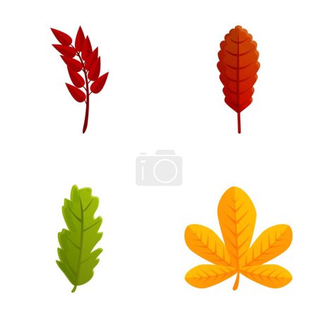 Otoño iconos de la hoja conjunto vector de dibujos animados. Hoja de árbol de varios colores. Naturaleza, temporada de otoño
