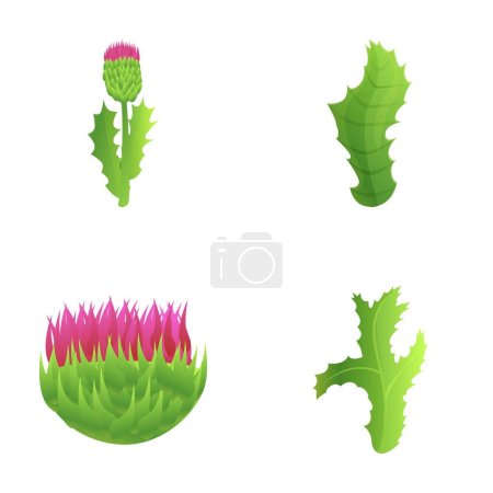 Ilustración de Iconos de cardo conjunto vector de dibujos animados. Cardo púrpura con hoja. Campo planta floral - Imagen libre de derechos