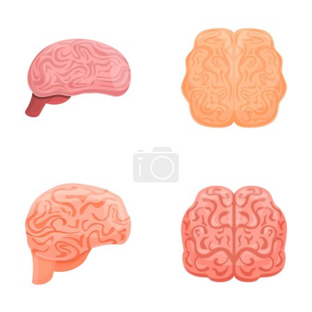 Ilustración de Los iconos del cerebro humano establecen el vector de dibujos animados. Hemisferio izquierdo y derecho del cerebro humano. Fisiología, neurobiología - Imagen libre de derechos