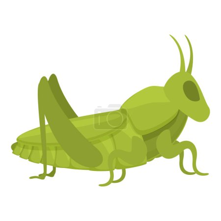 Grasshopper personnage icône dessin animé vecteur. Fourmi d'art. Amusement parasite acridien