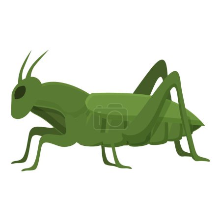 Drôle de vecteur de dessin animé icône de sauterelle. Mascotte mouche insecte. Bug nature