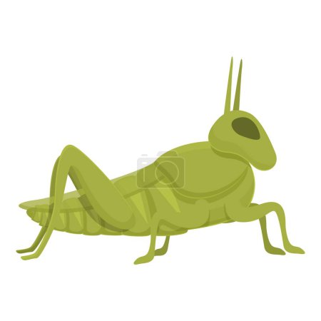 Color grasshopper icon cartoon vector. Nature insect. Creature natural
