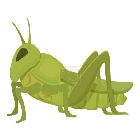vecteur de dessin animé icône de sauterelle nuisible. Mouche insecte fourmi. Caractère vert