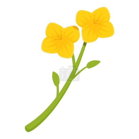 Illustration for Botanical floral icon cartoon vector. Rapeseed flower. Mustard food - Royalty Free Image