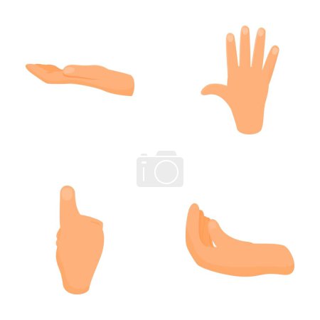 Varios iconos de gesto conjunto vector de dibujos animados. Gesto de mano humana. Comunicación interactiva