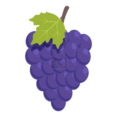 Téléchargez les illustrations : Raisins rouges icône de fruit vecteur de dessin animé. Panier d'usine. Secteur viticole - en licence libre de droit