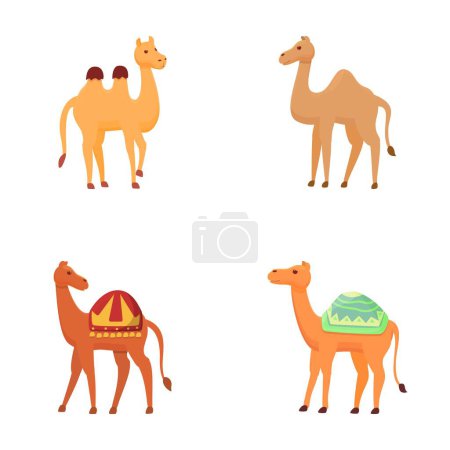 Illustration for Cartoon camel icons set cartoon vector. Different type of camel with saddlery. Desert animal - Royalty Free Image