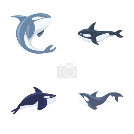 Killerwal-Ikonen setzen Cartoon-Vektor. Kleiner Cartoon niedlicher Orca. Wal-Orca, Meeresräuber
