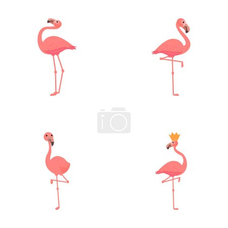 Icônes de flamant rose ensemble vecteur de dessin animé. Mignon oiseau de flamant rose. Caractère de bande dessinée