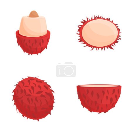 Rambutan-Symbole setzen Cartoon-Vektor. Ganze und halbe frische tropische Früchte. Natürliche Nahrung, gesunde Ernährung