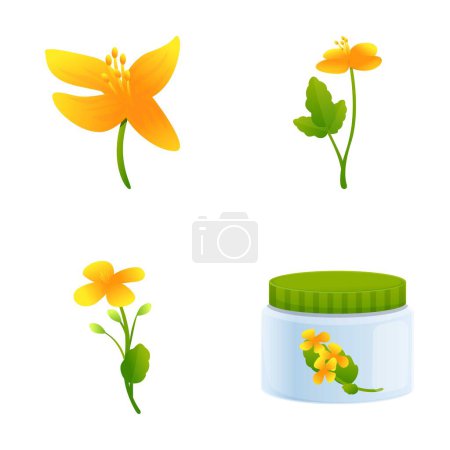 Celidonia iconos producto conjunto vector de dibujos animados. Celidonia flor y cosméticos. Planta medicinal