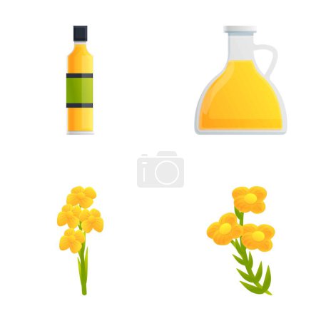 Los iconos de canola establecen el vector de dibujos animados. Aceite de colza y flor. Brassica napus, planta